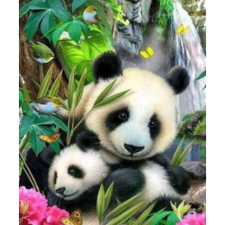 FAMILLE DE PANDAS