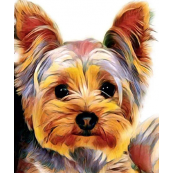 YORKSHIRE TERRIER